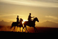 Egypt-Cairo-Desert, Nile and Pyramids Equestrian Getaway